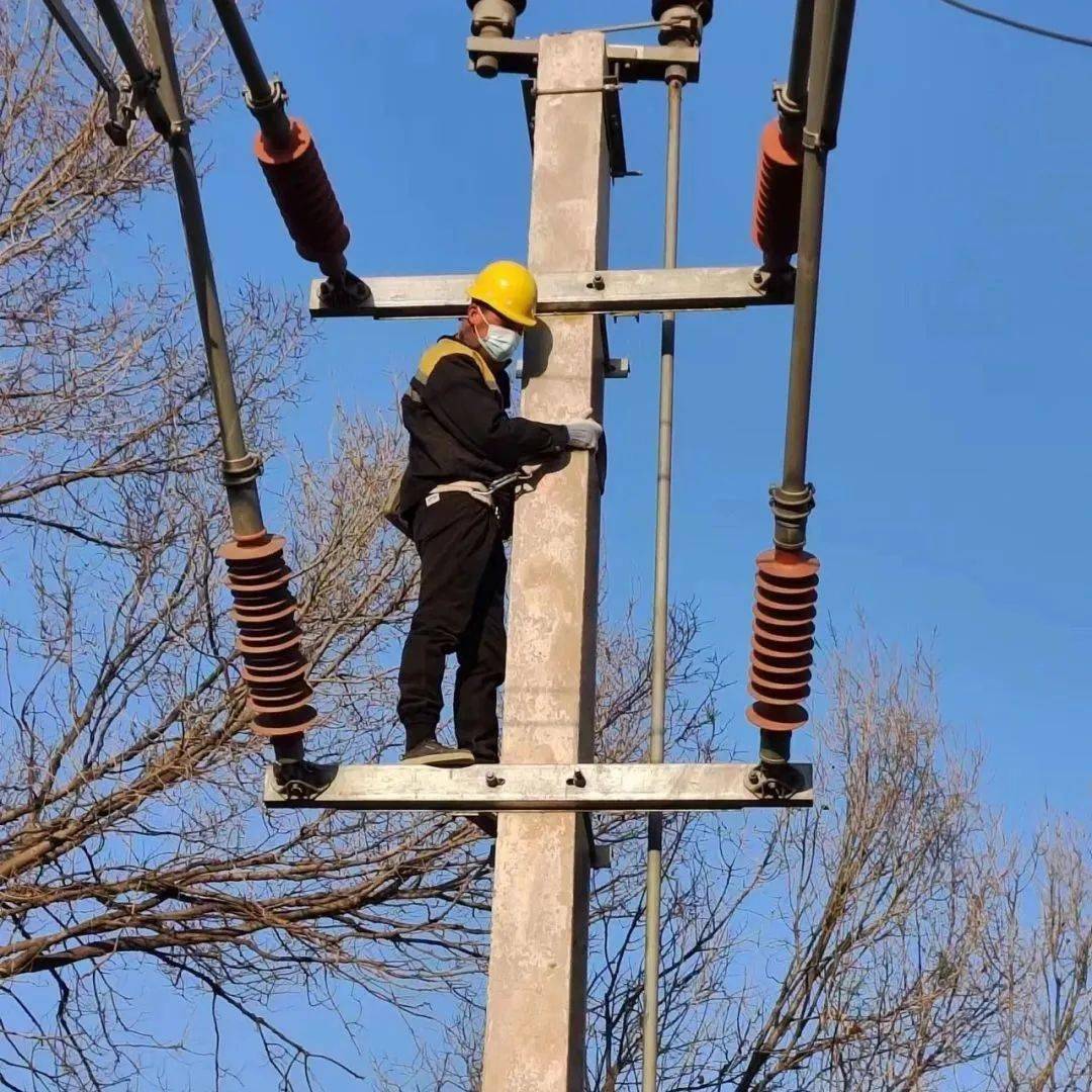 電銷神器大揭秘：哪款最適合你？